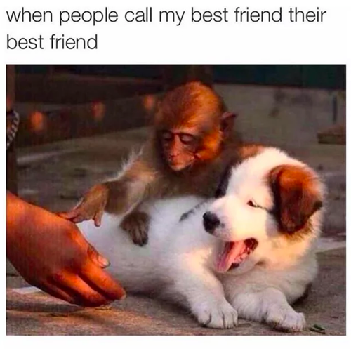 10 Of The Funniest Best Friend Memes That Will Have Your ...
